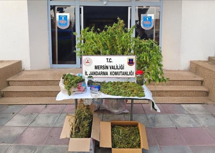 Mersinde 52 kk kenevir ile 11,8 kilo esrar ele geirildi